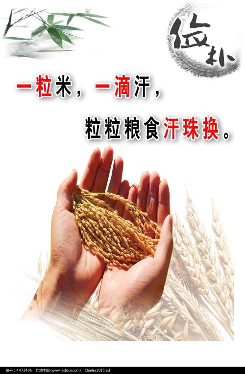 学历认证报告审核时效